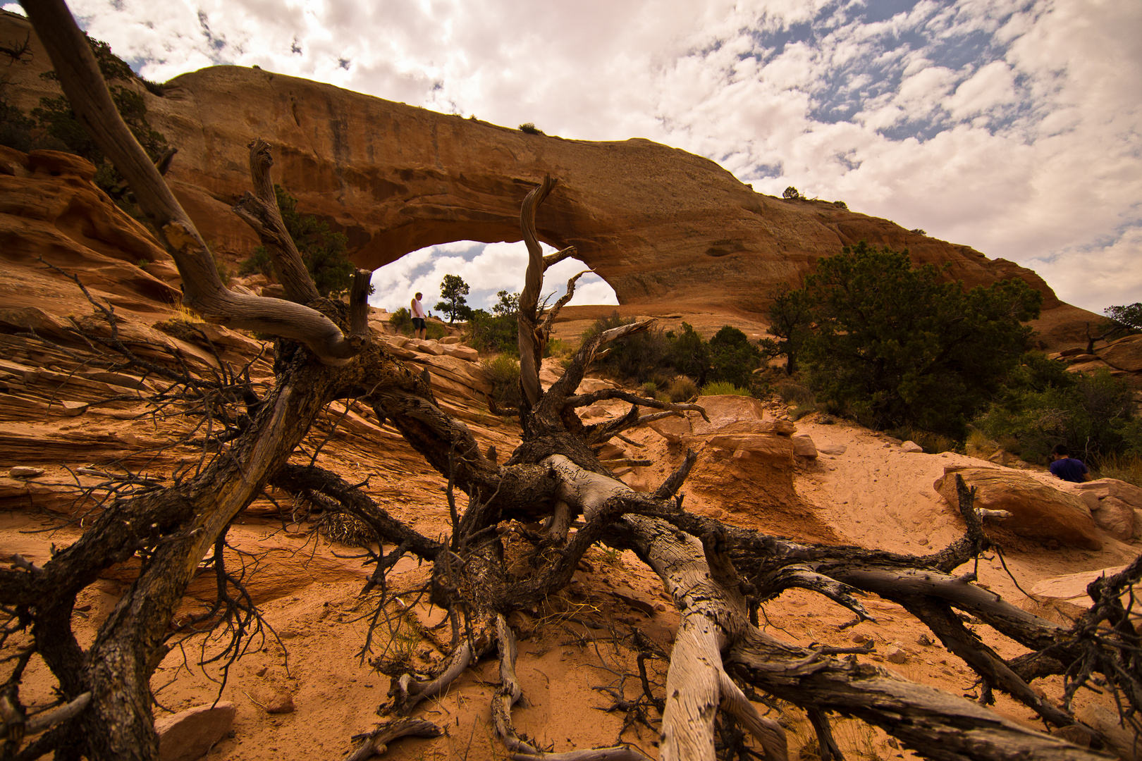 Wilson Arch