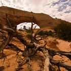 Wilson Arch