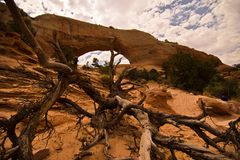 Wilson Arch