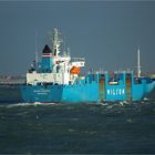 WILSON EXPRESS / Reefer / Rotterdam