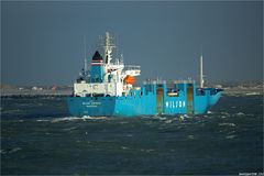 WILSON EXPRESS / Reefer / Rotterdam