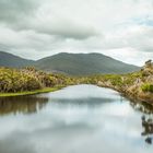 Wilsons Prom, Australien