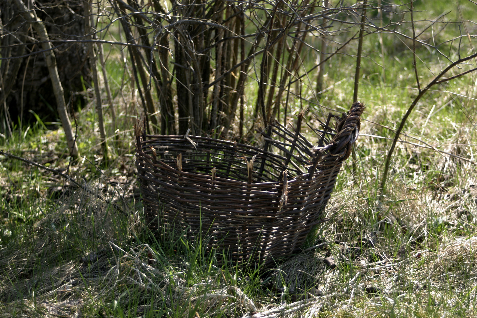 wilting basket