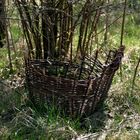 wilting basket