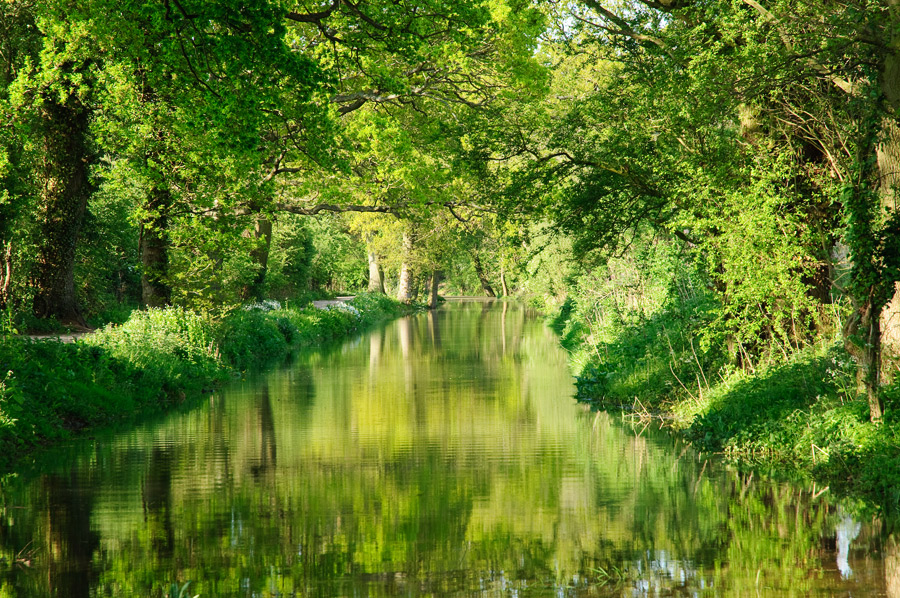 Wilts & Berks Canal near Chippenham