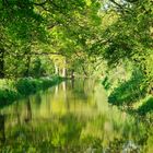 Wilts & Berks Canal near Chippenham