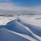 Wiltshire in Snow