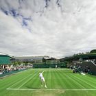 Wimbledon Tennis Championships - Faltin Travel