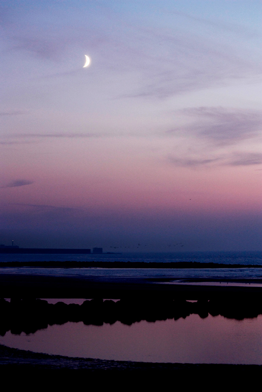 Wimereux, 2011_VII