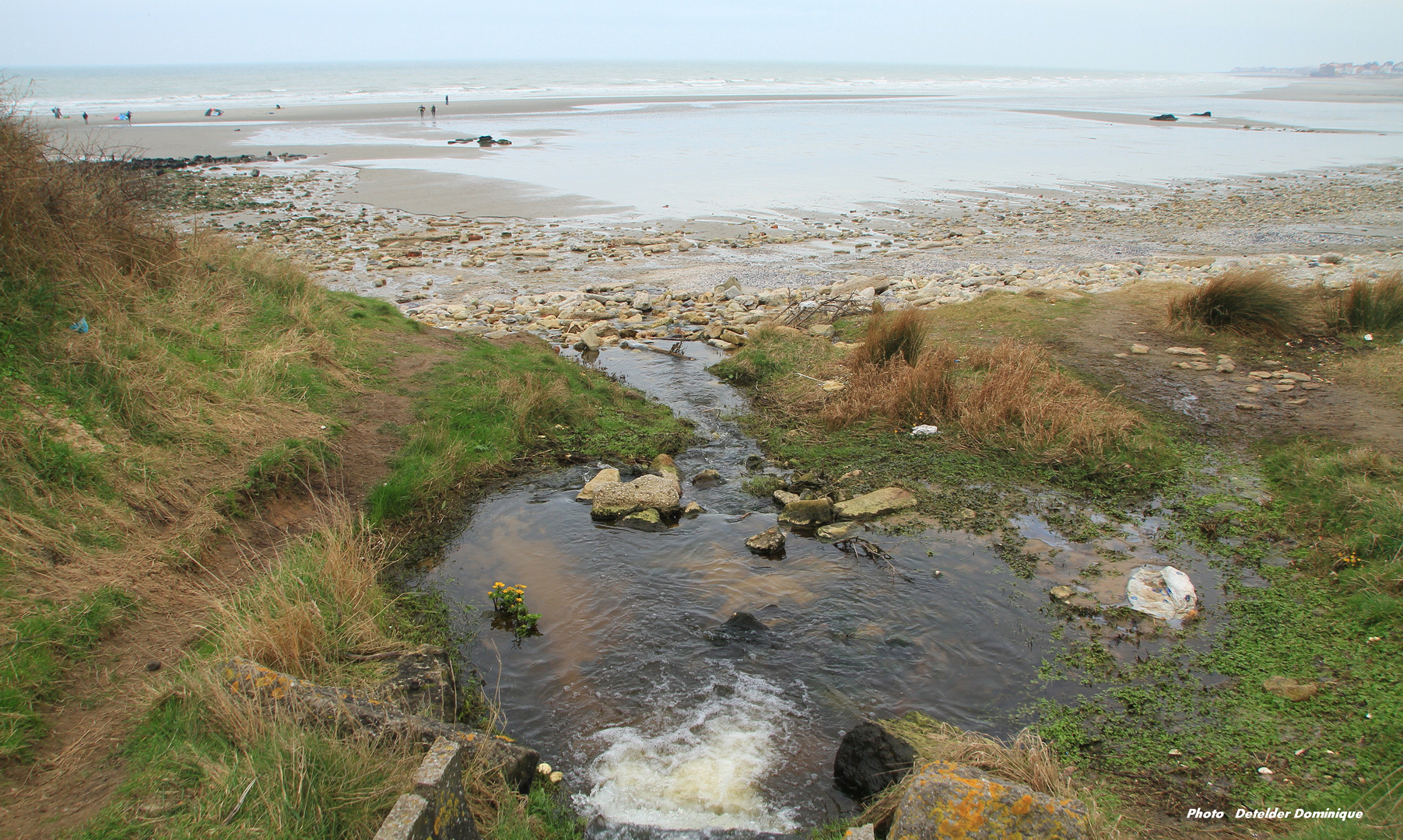 Wimereux cote d'Opale (3)