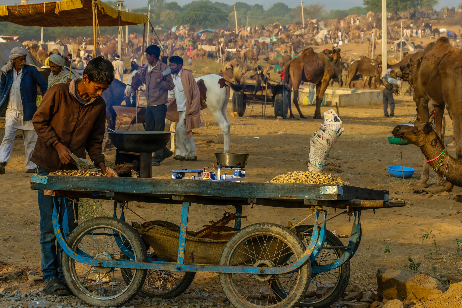 Wimmelbild mit Erdnussröster, Pushkar Camel Fair