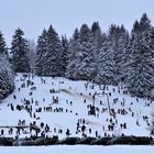 Wimmelbild: Wintervergnügen in Zeiten des Virus