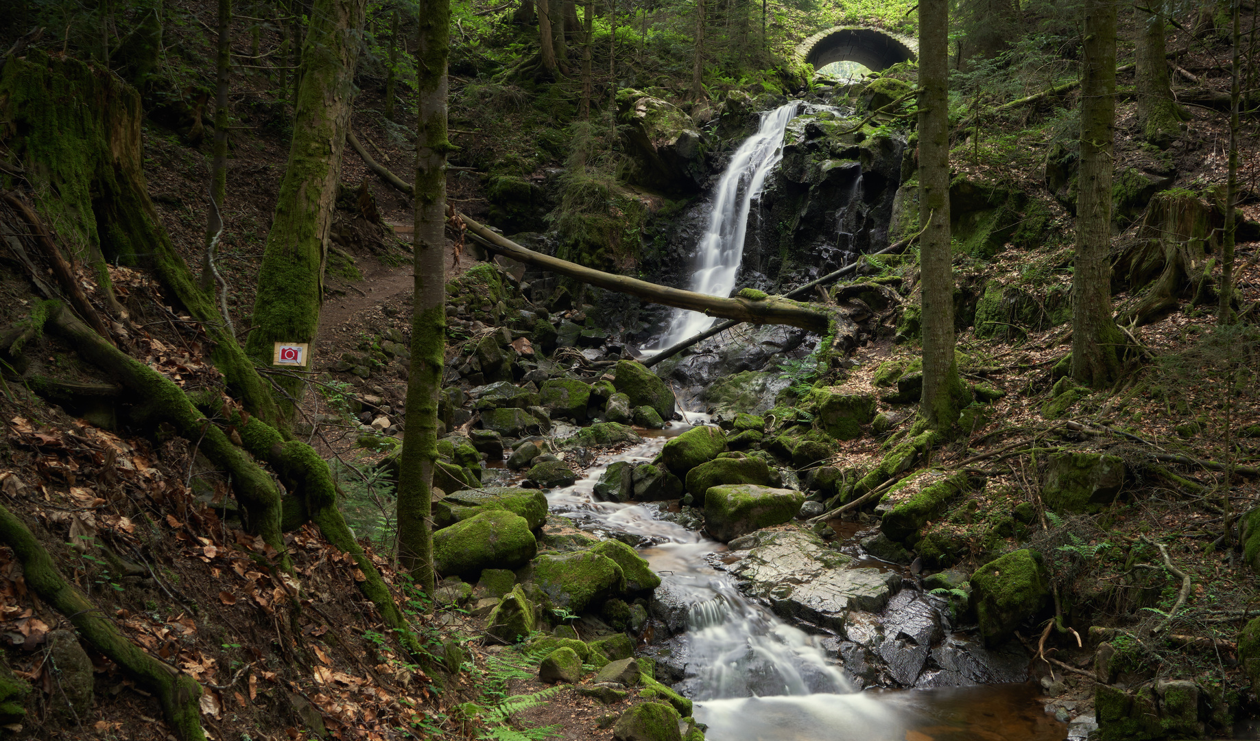 Winbergschlucht