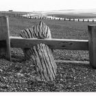 Winchelsea Beach . . . b/w