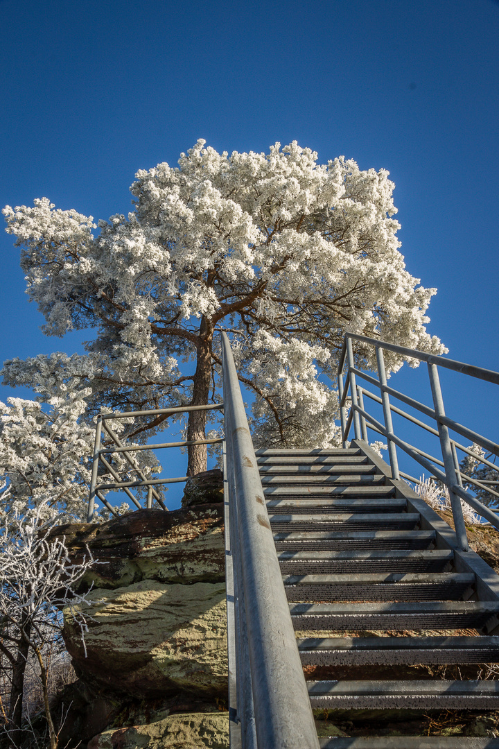 Winchertkopf