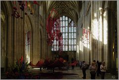 Winchester cathedral 2