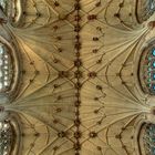 Winchester Cathedral-7