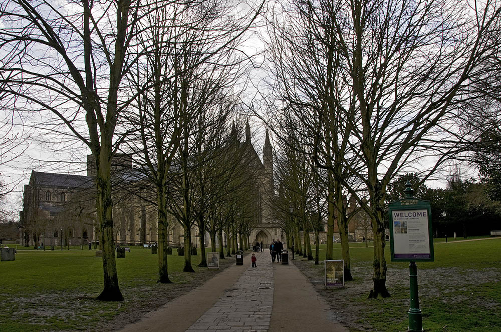 Winchester Cathedral-9