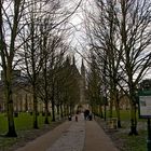 Winchester Cathedral-9