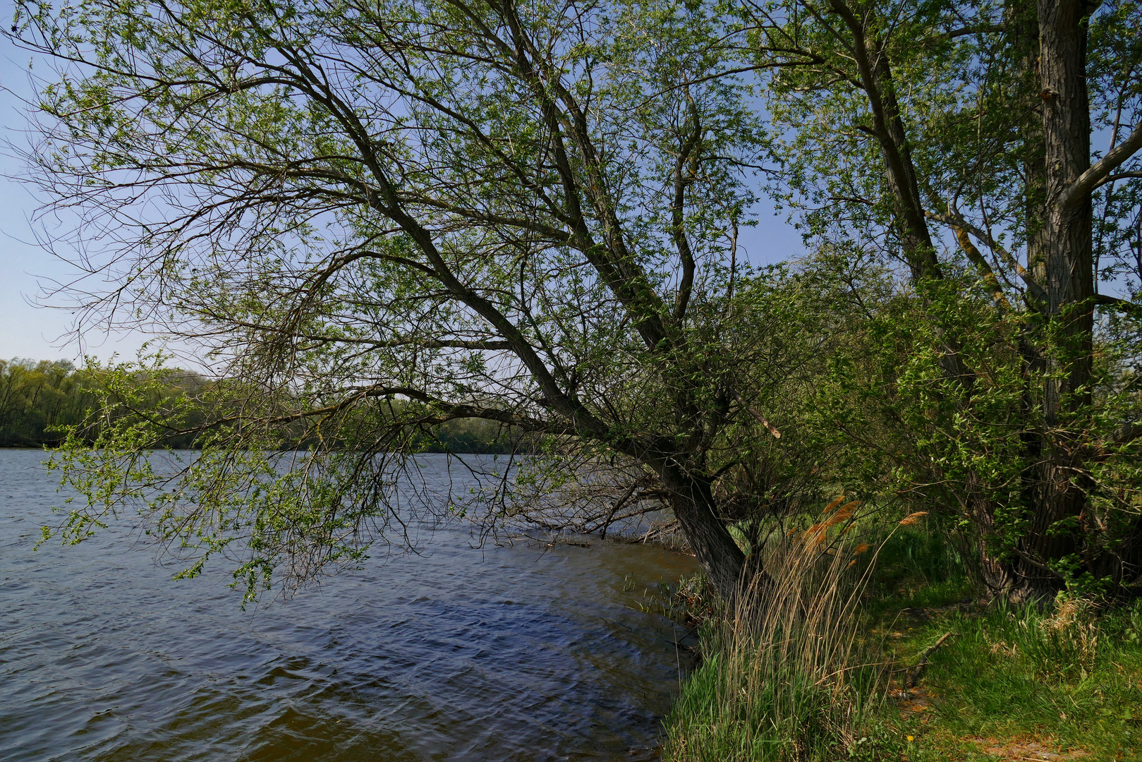 Wind am Ölpersee