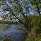 Wind am Ölpersee