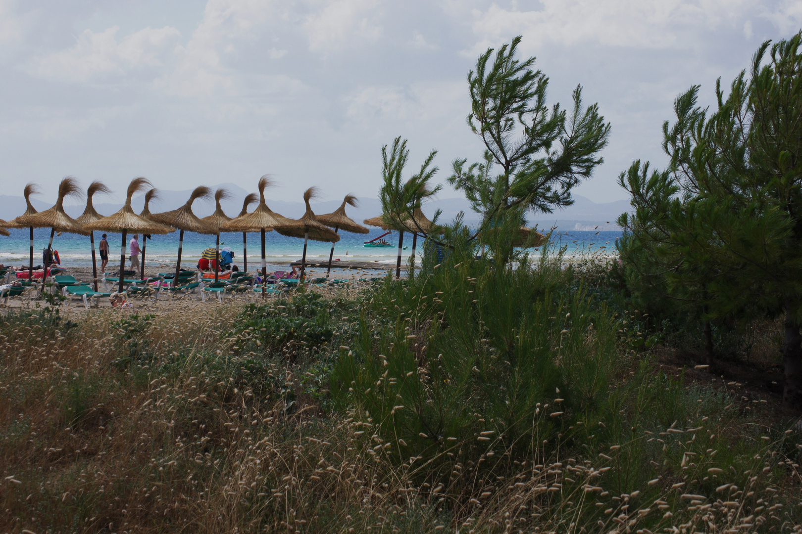 Wind - am Strand von Alcudia - Mallorca