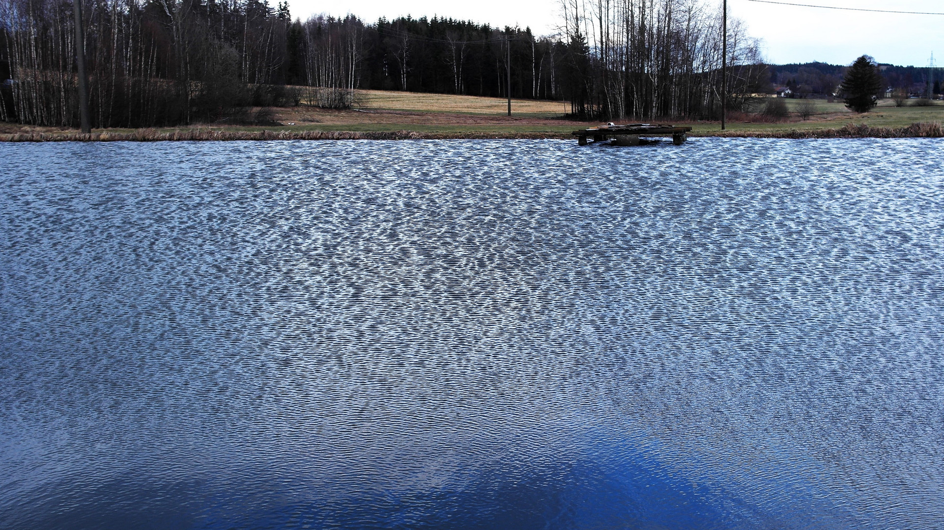 Wind am  und Wellen auf dem endlich wieder randvollem  Teich 