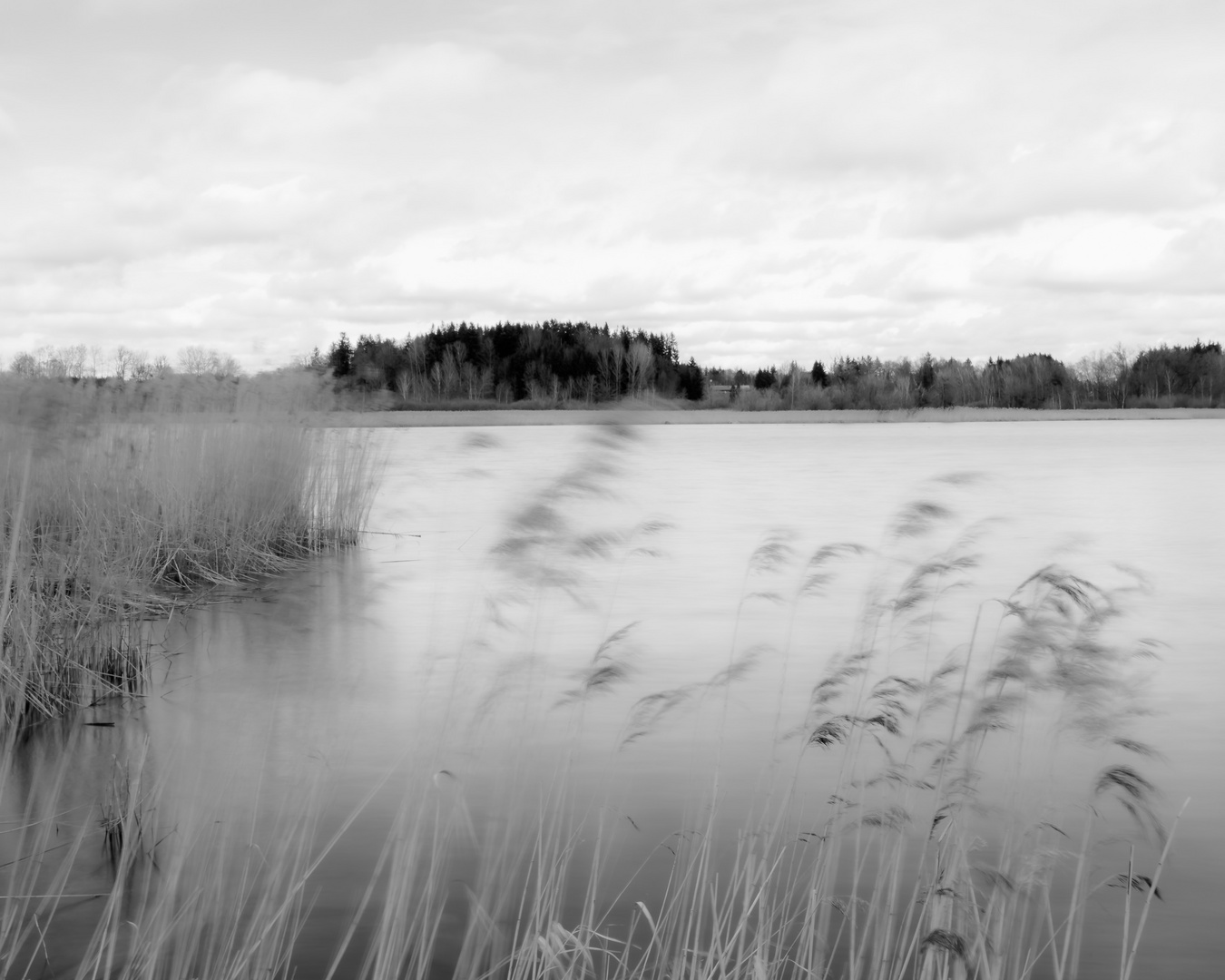 Wind am Wasser