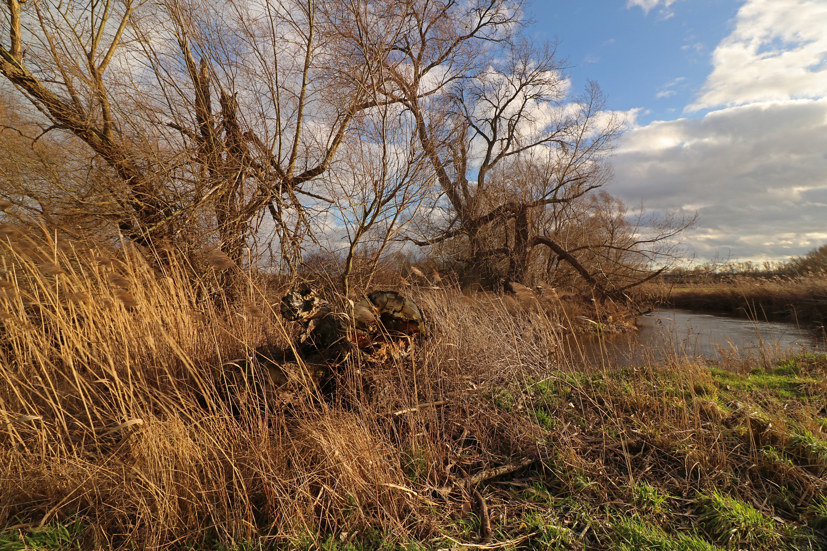 Wind an der Biegung