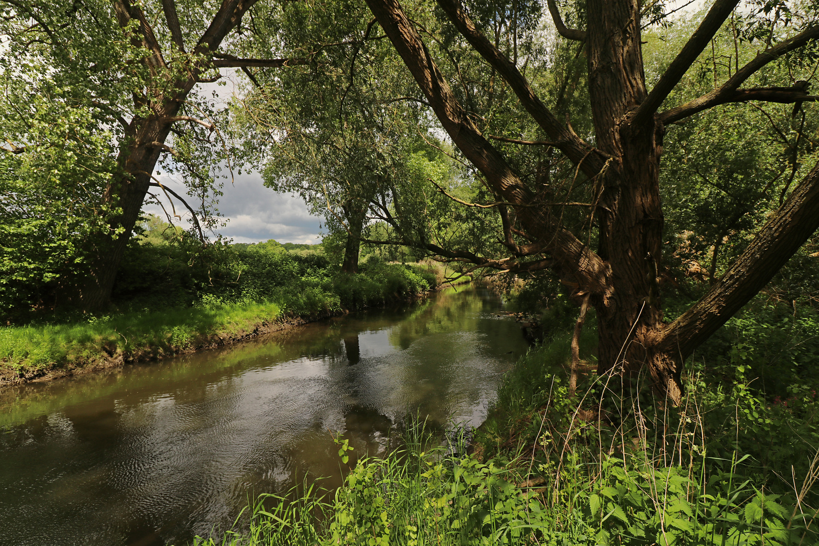 Wind auf dem Fluss