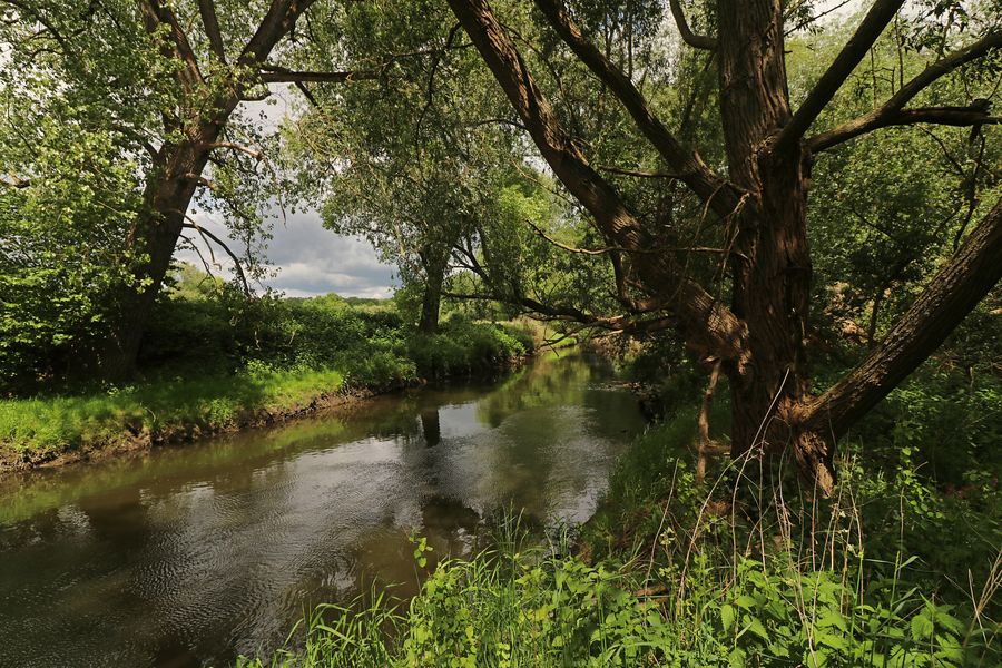 Wind auf dem Fluss