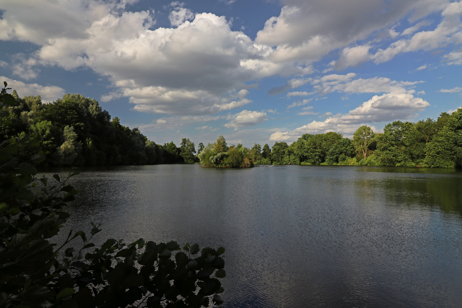 Wind auf dem Quellenteich