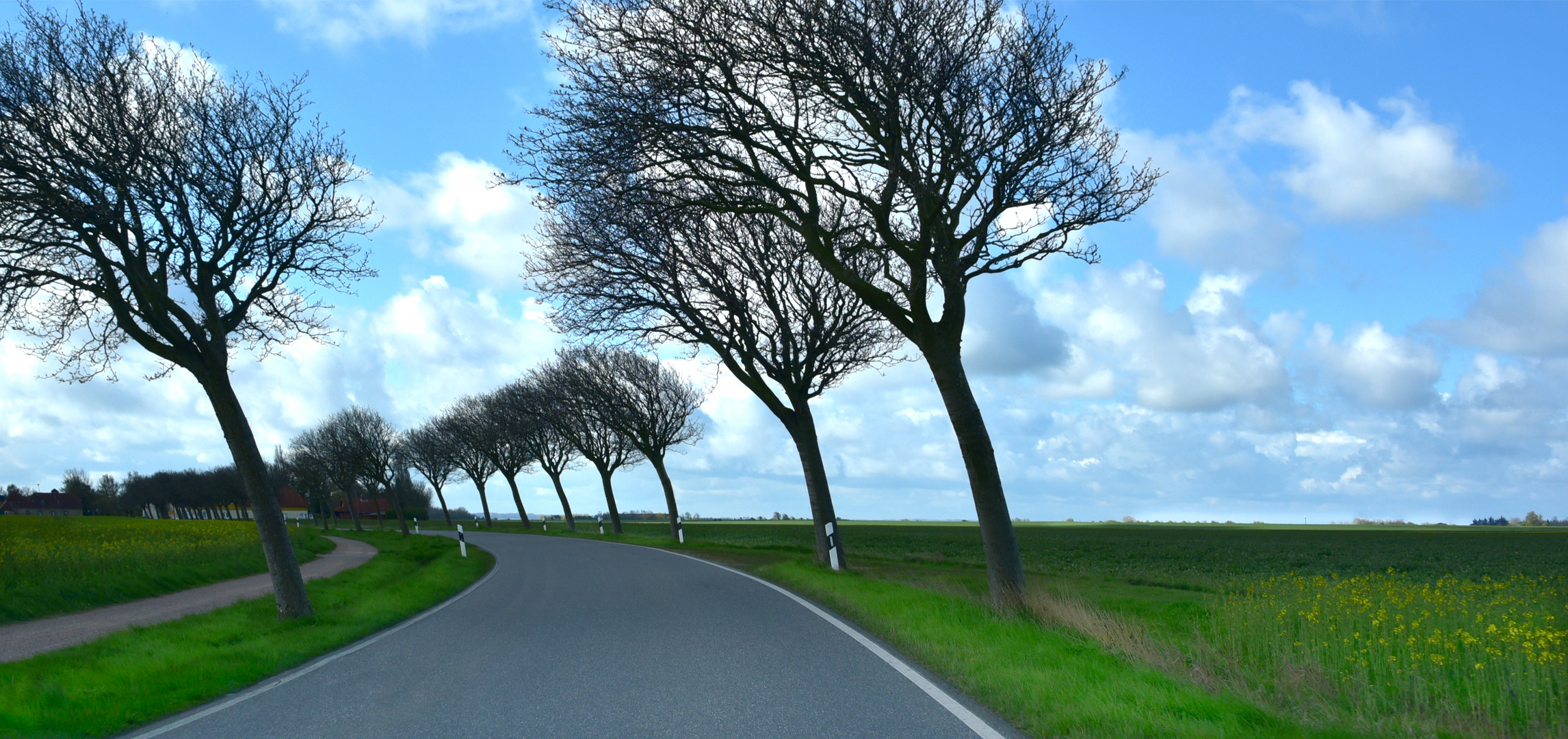 Wind auf Fehmarn 