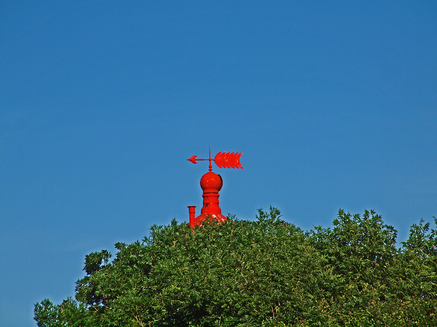 Wind aus Nordwest