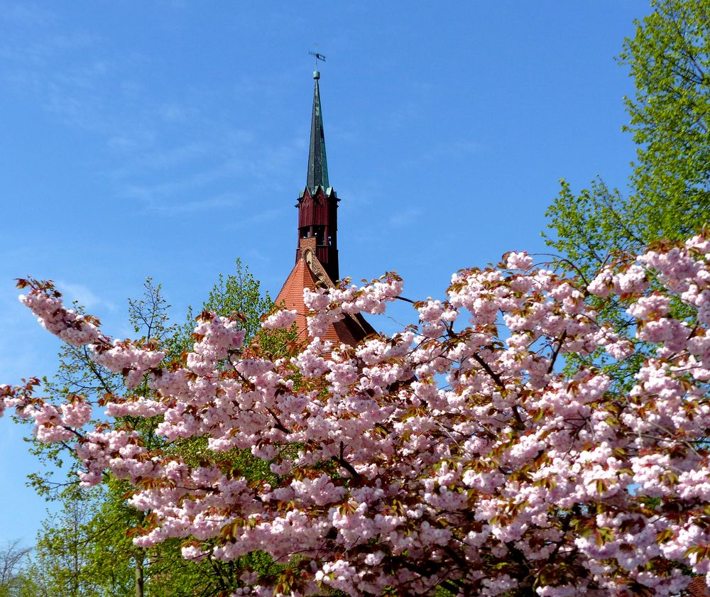 Wind aus Süd-Ost zeigt die Wetterfahne des Dachreiters auf der Mönchskirche in Salzwedel an.