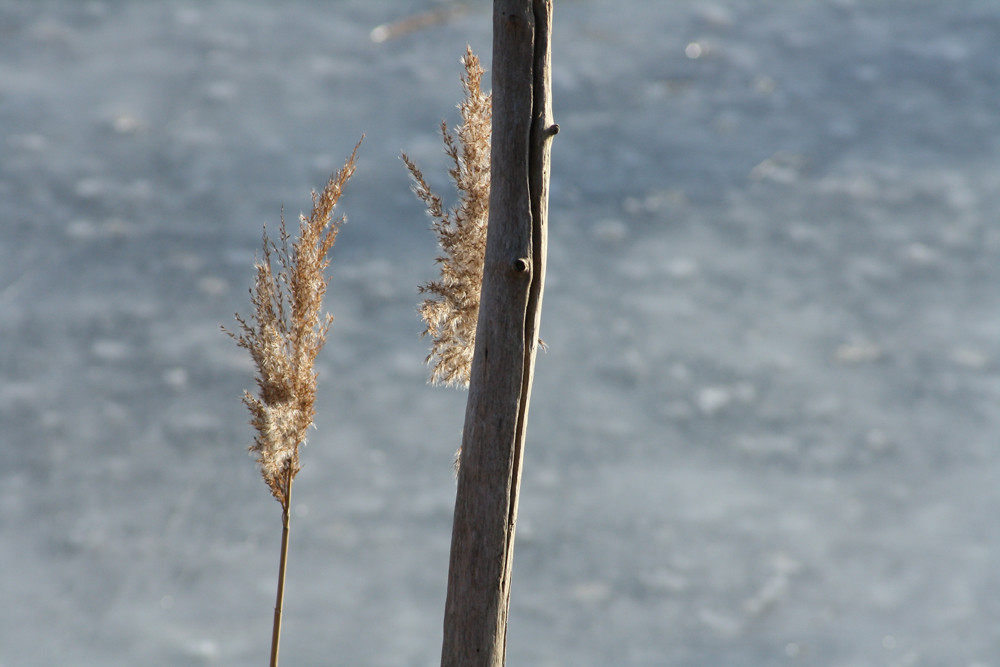 // wind chime