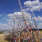 Wind Color and White Cloud