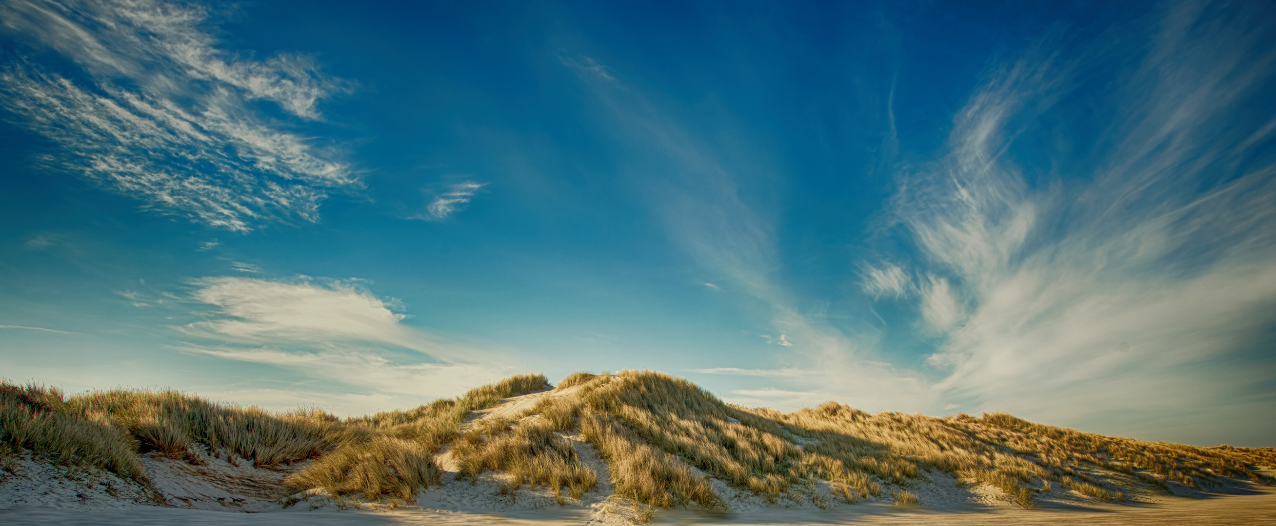 Wind & Düne