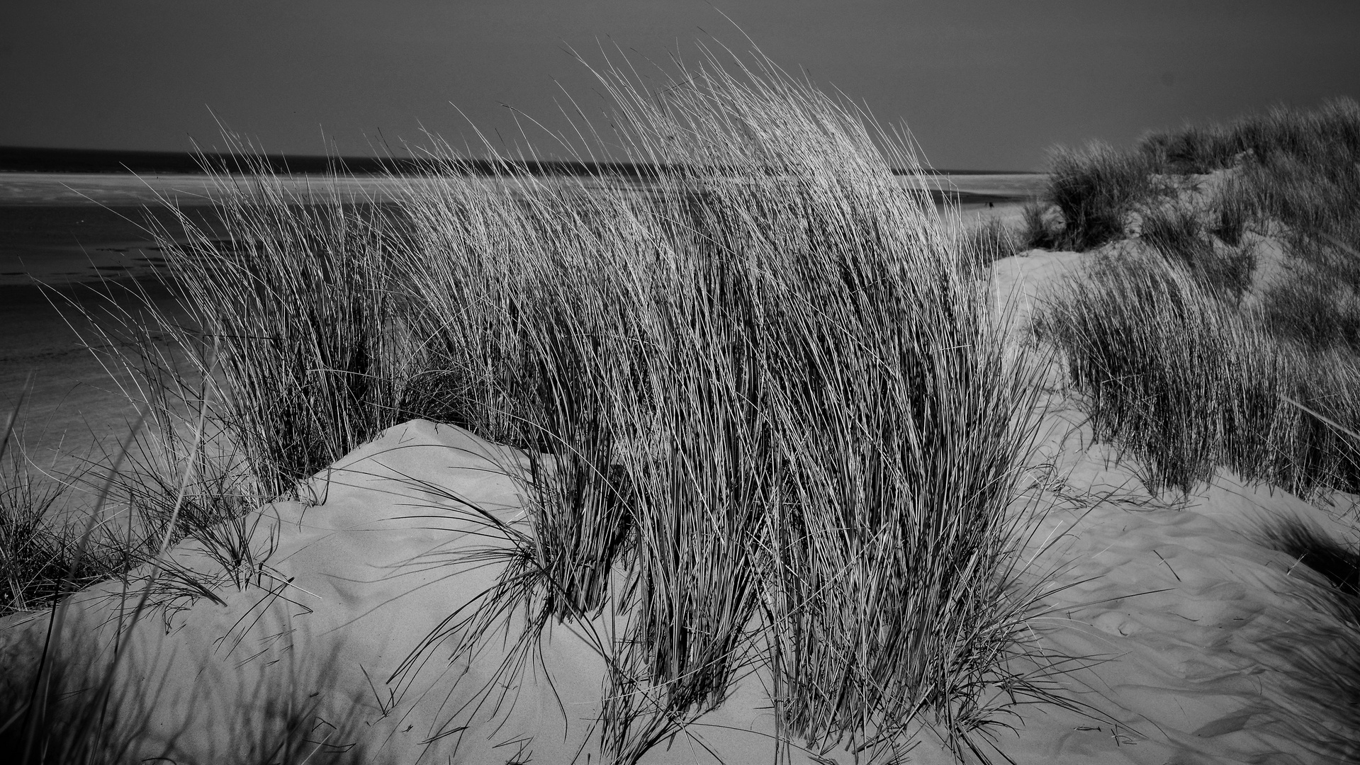 Wind, Dünen und Meer...die ewige Sehnsucht...