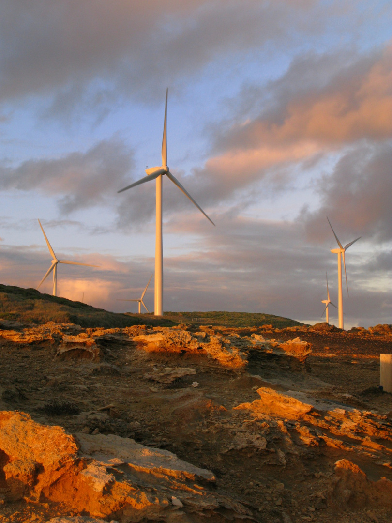 Wind Farm at Petrified Forrest - 2