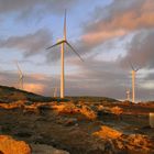 Wind Farm at Petrified Forrest - 2