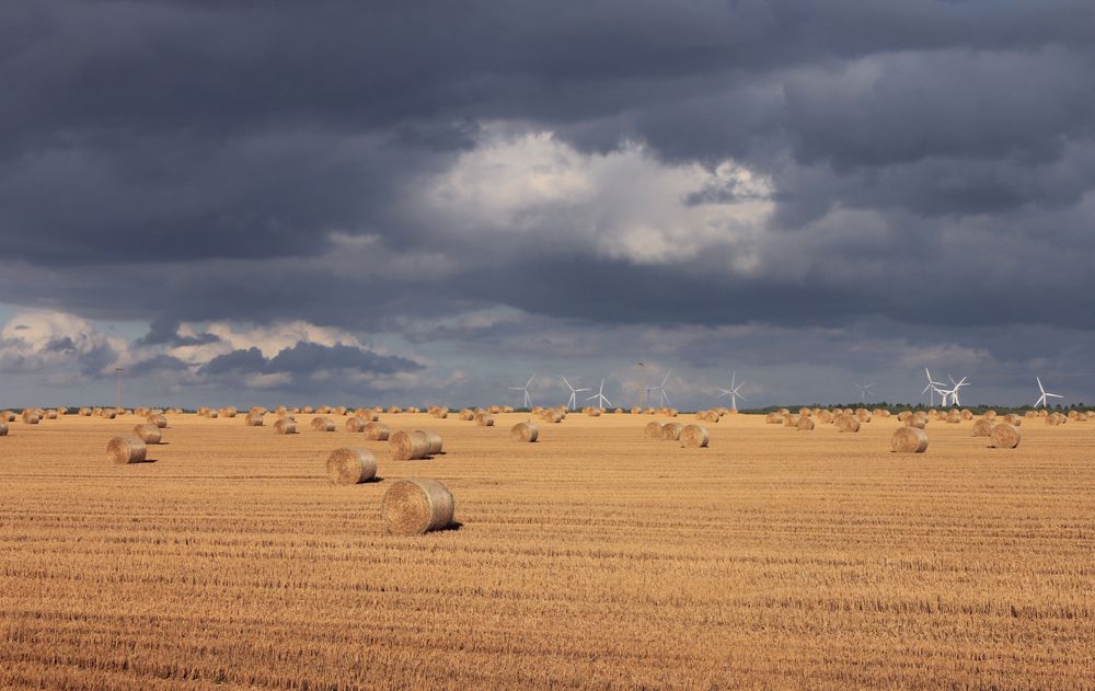 Wind Feld Wolken