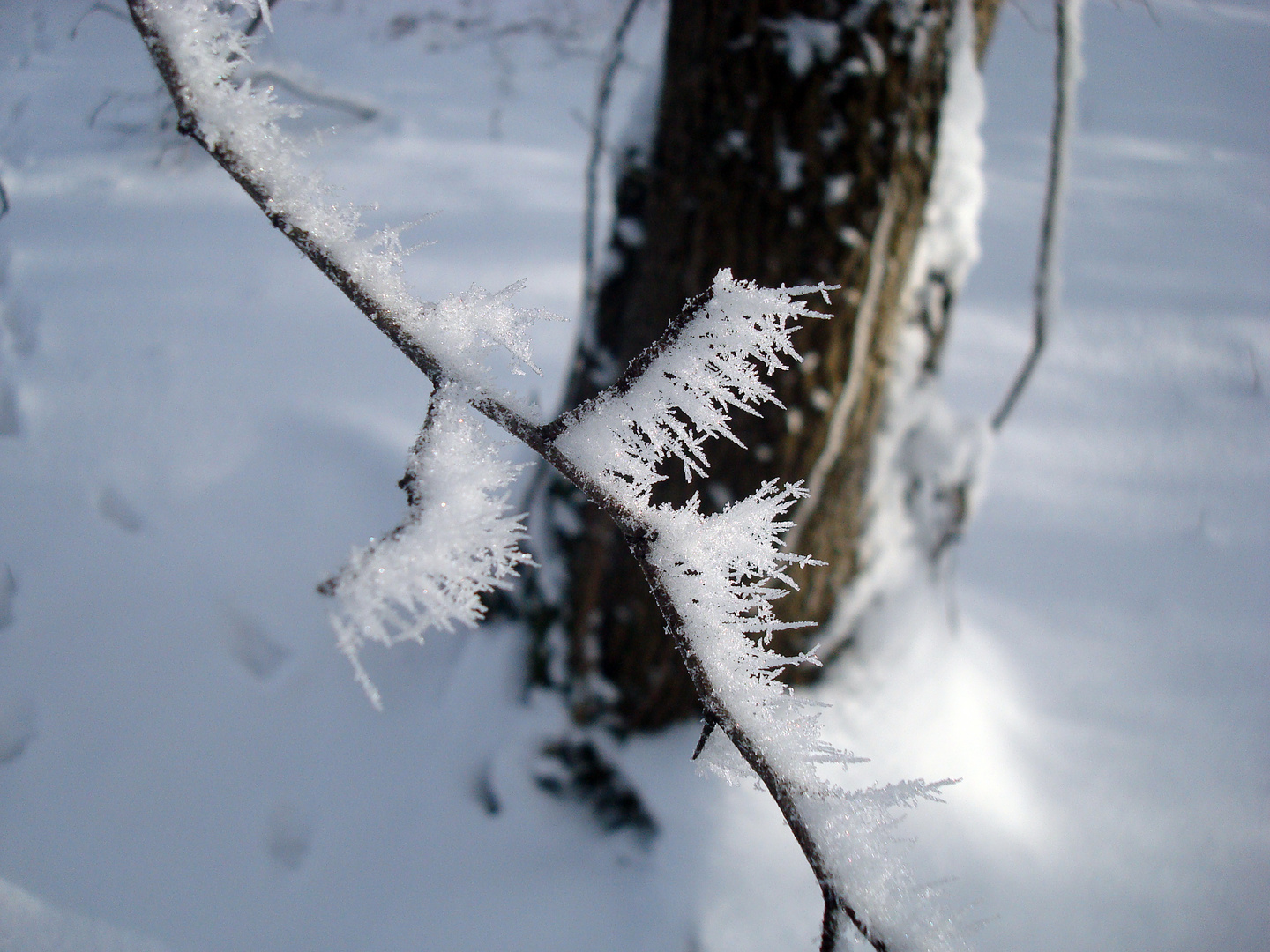 Wind formed Ice