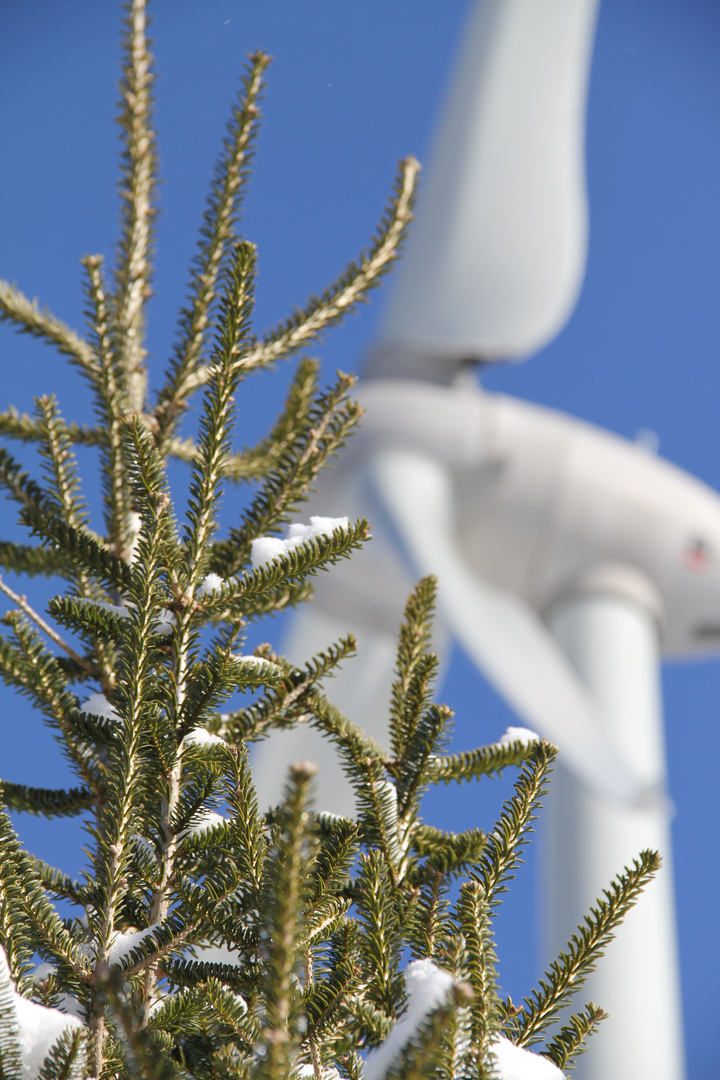 Wind für Umme