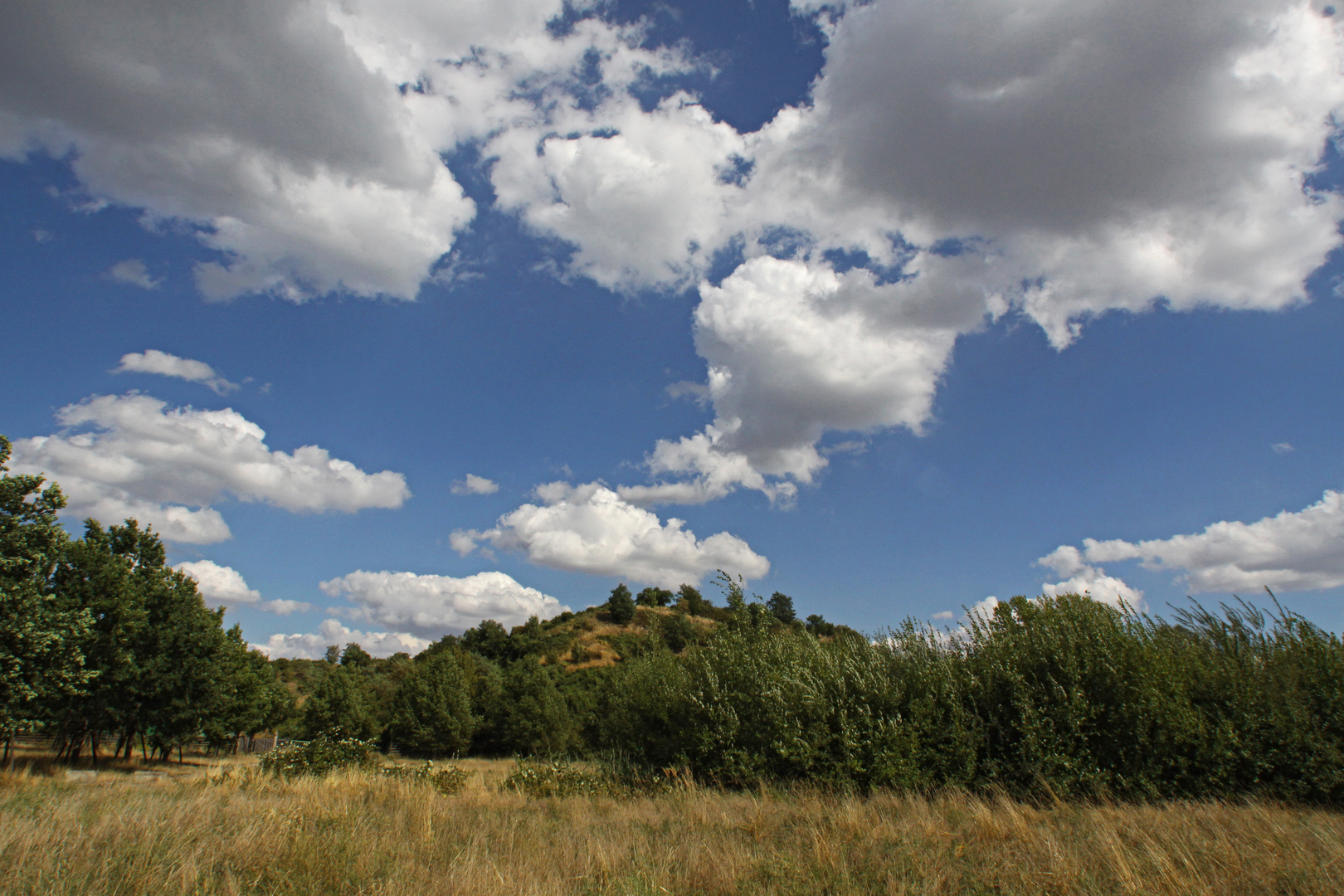 Wind, Gras und Wolken 