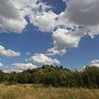 Wind, Gras und Wolken 