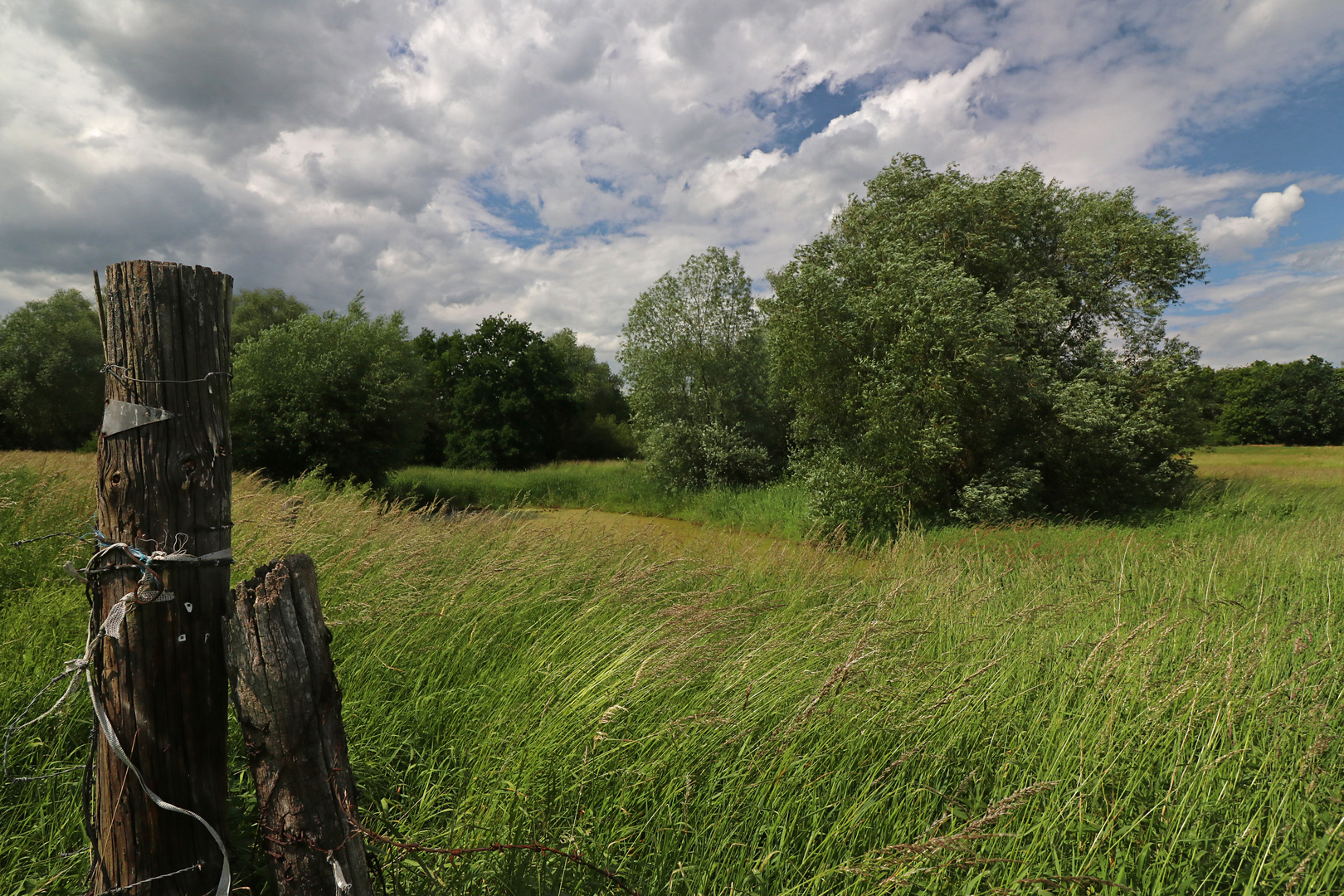 Wind, Gras, Wolken