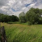 Wind, Gras, Wolken