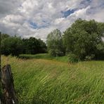 Wind, Gras, Wolken