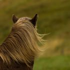 Wind im Haar